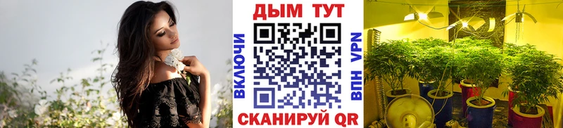 купить закладку  Кремёнки  МАРИХУАНА MAZAR 